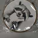 BCUANGD Bathroom Raccoon Round Wall Art Decor - Funny Raccoon Wall Art Canvas Frame Artwork Prints, Pet Animals in Bathtub Round Wall Hanging Decorations for Home Bathroom, 10"x10"