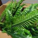 2PCS 45in Fake Ferns- Large Artificial Plants Outdoor, UV Resistant Artificial Ferns for Outdoors, 60 Branches Faux Boston Fern Realistic Weatherproof Fake Plants for Porch Home Patio Hanging Decor