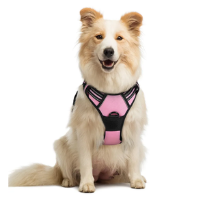 rabbitgoo Dog Harness No Pull with 2 Leash Clips, Adjustable Soft Padded, Reflective Oxford No Choke Pet Vest with Easy Control Handle for Medium Sized Dogs, Pink, M