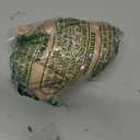 Womens Shapewear Deep V Neck Bodysuit Tummy Control Slimming Faja Body Shaper Mesh Sheer Outing Outfits (Medium, Tan)