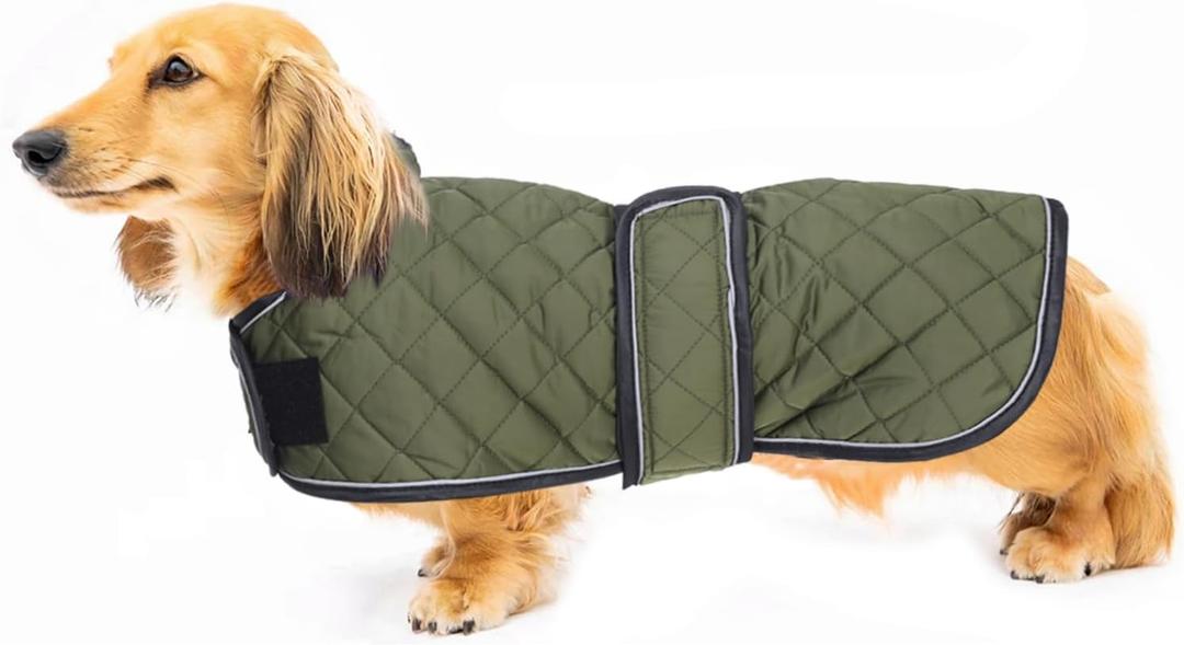 Warm Thermal Quilted Dachshund Coat,Dog Winter Coat with Warm Fleece Lining,Outdoor Dog Apparel with Adjustable Bands for Medium Dog-Army Green-M