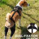 Dog Knee Brace for Torn ACL/CCL Hind Leg,Adjustable Support with Sufficient Wrapping and Support & Luxating Patella,Non-Slip Joint Brace,Pain Relief&Better Recovery-Both, Leg/L