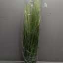 3ft/35in Artificial Plants Outdoor Indoor,Fake Onion Grass In Pot
Home Office Decor Floor Plants Potted Faux Tall Grass Plant Greenery, Housewarming Gift Reed Grass