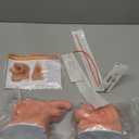 Male and Female Catheterization Models Internal and External Genital Anatomy Models for Clinical Teaching and Medical Education Training Practice, 2 Pieces