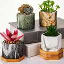 Marbling Ceramic Flower Pot Succulent Small Plant Cactus Herbs Planter Ceramic Pot with Drainage Hole Matte Container(4 Pcs,Hexagon Style)