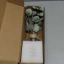 Muhanjia Artificial Eucalyptus Stems in Glass Vase with Faux Water,3Pcs Fake Plant with Double-Sided Green Leaves for Centerpiece(Double-Sided Green Eucalyptus)