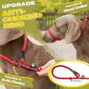 Fida Durable Slip Lead, 6 FT x 3/8" Heavy Duty Dog Loop, Comfortable Strong Rope Slip Leash for Small Dogs and Puppies, No Pull Pet Training Leash with Highly Reflective (3/8", Red)