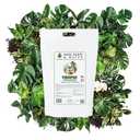 Soil Seed & Water Tropic Treasure Tropical Potting Mix – Rich Soil for Exotic Plants, Hibiscus & Monstera - Indoor Plant Mix - OMRI Listed (EXP 09/30/26)