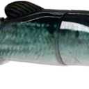 2 x REAL FISH 6.5" The Intruder Multi Jointed Swimbait Bass Fishing Lure Bait Hard Slow Fast Sinking Life Like Gizzard Shad Minnow Bluegill Floating Slow Sinking (1) (BLUEBACK HERRING)