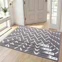 OLANLY Front Door Mat, Non-Slip Rubber Backing, Dirt Resistant and Absorbent, Washable, Easy to Clean Low-Profile Indoor Doormat for Back Door, Entryway, Inside Entrance, 32x20, Grey