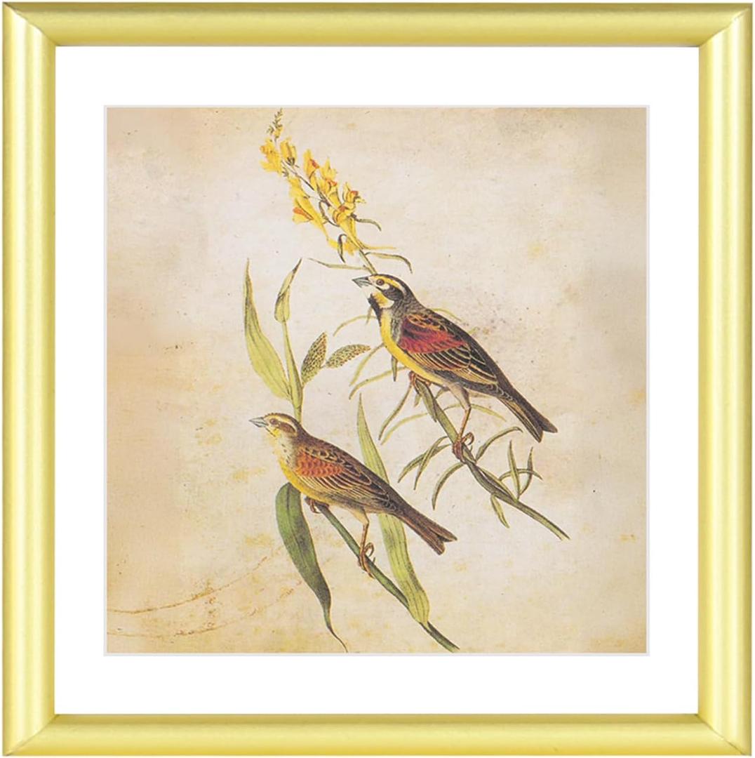 6x6 Picture Frame, Gold Aluminum Metal Square Photo Frame with HD Glass, Fits 5x5 with Mat or 6 x 6 without Mat, Display For Tabletop or Wall Collage, 1 Pack