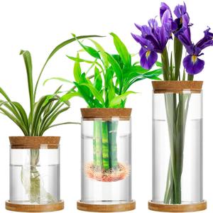 Maxcheck 3 Pcs 3 Sizes Plant Propagation Station Separated Glass Plant Terrarium Water Hydroponic Planter Holder with Lid and Wooden Stand Propagation Vase Pot for Home Indoor Office(Various Sizes)