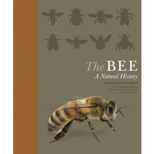The Bee: A Natural History