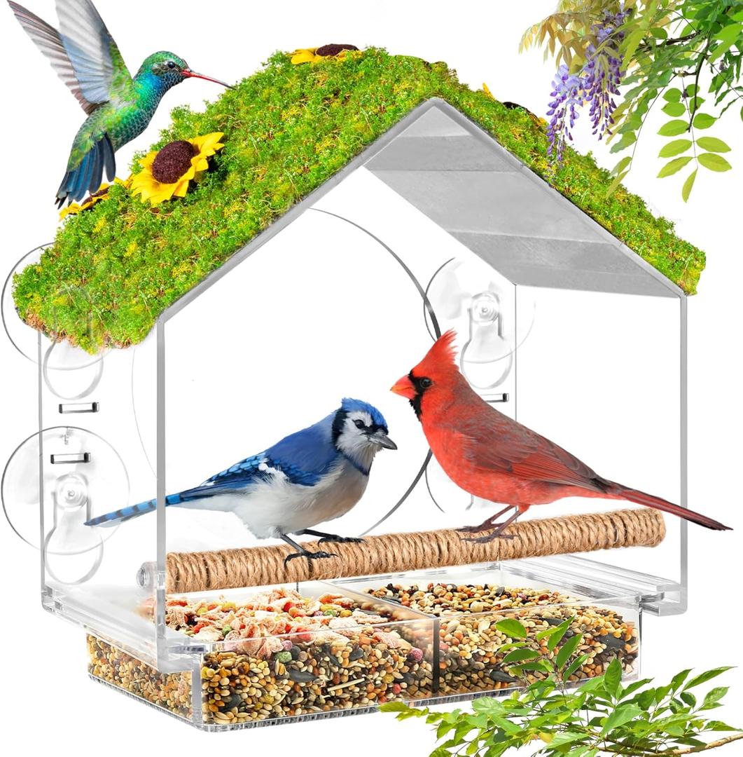 Clear Window Bird Feeder with 4 Strong Suction Cups & Decorative Lawn Top - Ideal for Garden/Yard Decor, Elderly & Kids Bird Watching, Unique Gift for Nature Lovers (Transparent&Green)
