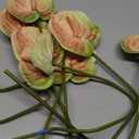 7pcs Artificial Anthurium Lily Flowers Fake Plastic Tropical Flowers for Vase Bouquets Home Office Wedding Decor(Green Pink)