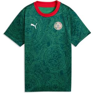 Puma Junior Fanpack Jersey (Green, XL)