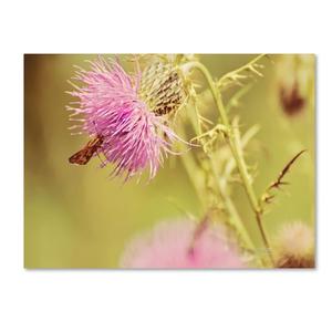 Trademark Fine Art Skipper on Pink Thistle Canvas Wall Art by Lois Bryan, 24"x16"