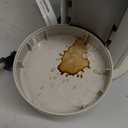 Ninja Pod & Grounds Specialty Single-Serve Coffee Maker, K-Cup Pod Compatible, Brews Grounds, Compact Design, Built-In Milk Frother, 56-oz. Reservoir, 6-oz. Cup to 24-oz. Mug Sizes, Stone, PB051ST