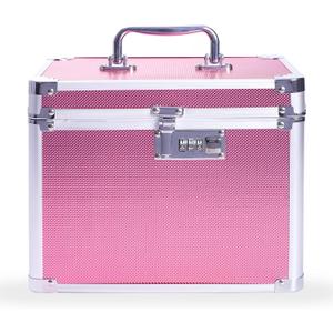 Medication Combination Lock Boxes with Code for Personal Items, Medicine Lockbox for Documents 10 x 7.25 x 7.75 Inches Rose