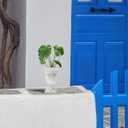 POPETPOP Tall Urn Vase Retro White Metal Urn Planter Pedestal Flower Pot Rustic Farmhouse Flower Holder for French Country Style Home Table Centerpiece Decor, 5.9 x 5.9 x 7.47 Inches