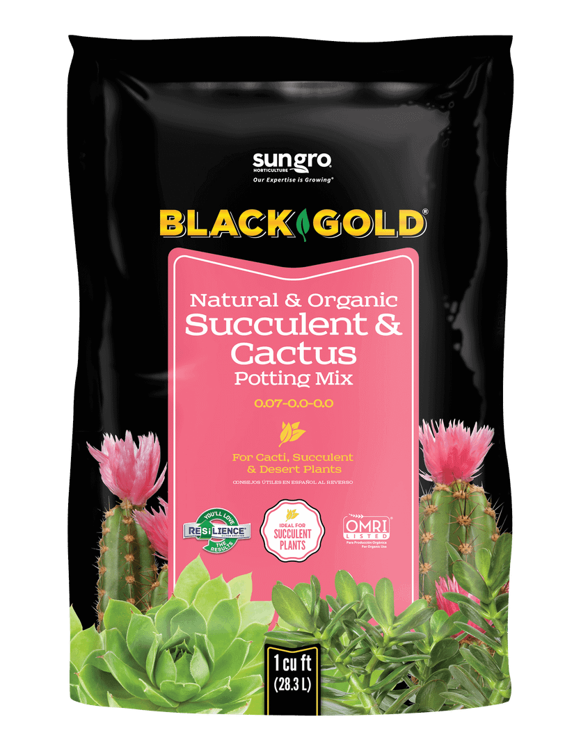 Black Cold Natural & Organic Succulent & Cactus Potting Mix 1 Cu Ft