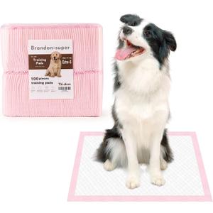 Super-Absorbent Leak-Proof Dog and Puppy Pet Training Pad, Housebreaking Puppy Pads Disposable (13" X 18"-Extra-Small 100PCS)