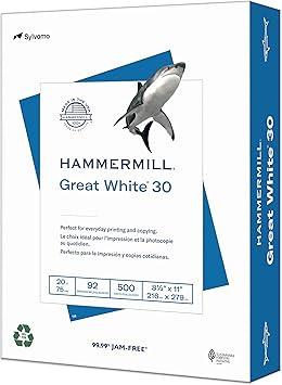 Hammermill Printer Paper, Great White 30% Recycled Paper, 8.5 x 11 - 92 Bright, Made in the USA, 086700C - 4 Ream