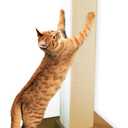 SmartCat Ultimate Scratching Post  Beige, Large 32 Inch Tower - Sisal Fiber, Simple Design - For All Cats (Brown)