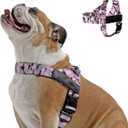 Dog Friendly Co. Dog Harness | Chafe Resistant Webbing, Adjustable Neck & Chest, and Heavy Duty D-Ring | Sturdy, Comfortable, Easy to Use | Pink Camo, Size L