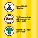 Temptations Classic Crunchy and Soft Cat Treats Tasty Chicken Flavor, 48 oz. Pouch (3 Pound (Pack of 1))