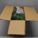 Somikis Set of 2 Outdoor Christmas Tree Urn Filler, Battery Operated Pre-lit Artificial Small Xmas Tree, w/LED Lights and Pine Cones & Red Berries, 22 Inch (1ft 10in)