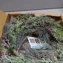 22" Green Winter Wreath, Artificial Pine Cone & Holly Front Door Wreath for Christmas Farmhouse Indoor Outdoor Decor