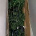 Sweetcrispy 6ft Pre-lit Artificial Christmas Tree, Prelighted Green Artificial Hinged Spruce Xmas Tree with 700 Branch Tips, 250 Incandescent Lights & Foldable Base for Home, Office, Party