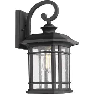 Emliviar Outdoor Wall Lights for House, 1-Light Exterior Wall Sconce Black Finish with Clear Seeded Glass, 17" Height, 22021M, 16.6 Inch