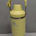 Stanley IceFlow 2.0 Fast Flow Tumbler with Handle 30 oz | Twist On Angled Spout Lid | Leakproof Water Bottle | Insulated Stainless Steel | BPAFree | Pomelo