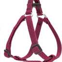 LupinePet Eco 1/2" Berry 10-13" Step In Harness for Extra Small Dogs