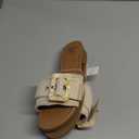 Sweet life size 9 1/4