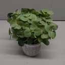 MyGift Artificial Eucalyptus Plant in Modern Gray Concrete Pots with Geometric Embossed Pattern (1, Grey)