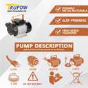 Trupow 110V AC 16GPM Electric Self-Priming Diesel Kerosene Biodiesel Oil Fuel Transfer Pump