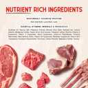 Stella & Chewy's Grass Fed Beef & Lamb Shredrs - Premium Dog Food Pouches - Perfect for Picky Eaters - 12 Pack, 2.8oz Each