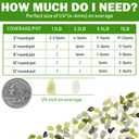 11LB Natural Gravel Pebbles, 1/4 Inch Gravel Stones for Succulent and Cactus, Aquariums, Terrarium, Vases and Indoor Outdoor Gardening,Green