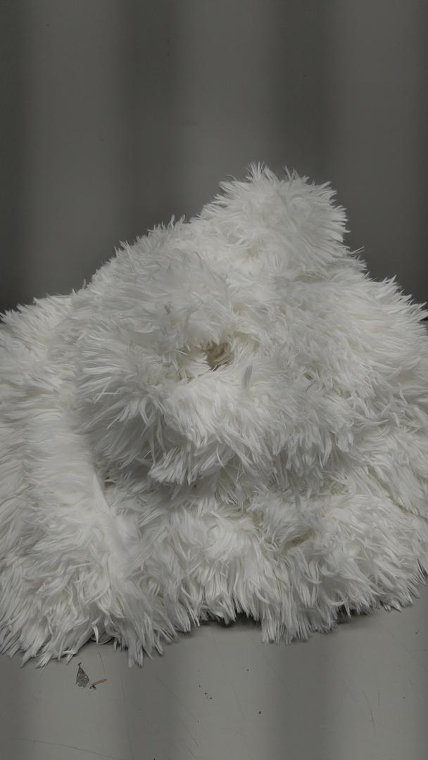 JONIYEAR Extra 2.8" Long Hair Fluffy Faux Fur Throw Blanket 50" x 60", Luxury Soft Decorative Fuzzy Furry Blankets for Couch, Cozy Plush Shaggy Blankets for Sofa Bed,Cute Lovely Blanket for Pet, White