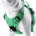 JUXZH Truelove No Pull Dog Harness with Easy Control Handle and 2 Leash Attachments,Reflective Adjustable Pet Vest (Small (Pack of 1), Grass Green)