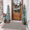 LEEVAN Black and White Striped Outdoor Rug Runner 2x4 Layering Doormat Farmhouse Front Porch Rug Cotton Woven Washable Throw Carpet for Hallway/Front Steps/Bathroom/Kitchen/Home Entrance