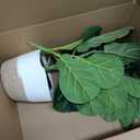 30" Artificial Fiddle Leaf Fig Tree, Realistic Fake Plants Faux Trees Indoor with Cotton Rope Basket, Artificial Plants Indoor for Apartment Home Living Room Office Decor