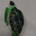 Novelty Green Sea Turtle Hair Clip,Acetate Hair Claw,Big Hair Clips for Women, 2 x 2 x 2 inches