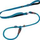 Fida 2-in-1 Slip Leads for Dogs with Double Handles, Tangle Free Leash for Large Dogs That Pull, Heavy Duty No Pull Training Leash Reflective Soft Padded for Large & Medium Breed(6ft,Blue)