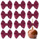 AIMUDI Burgundy Satin Ribbon Twist Tie Bows for Treat Bags 3.5" Maroon Bows for Crafts Small Bows for Gift Wrapping Premade Bows for Cake Pop Candy Apples Gift Bags Wedding Baby Shower -24 Counts