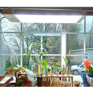 Green Watt LED Grow Light 40 Watt Feet Full Spectrum