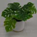 14" Monstera Greenery